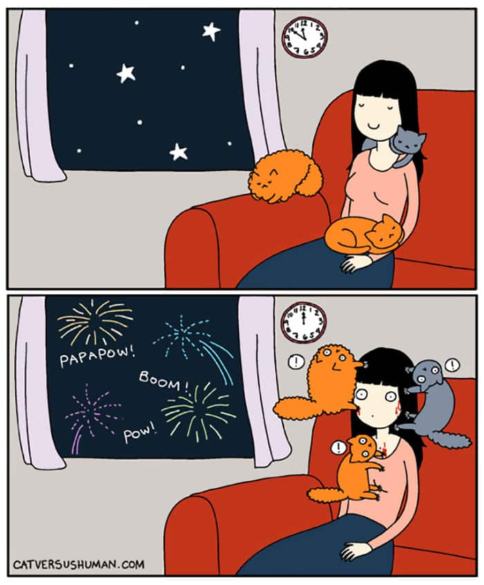 Кот на Новый год
