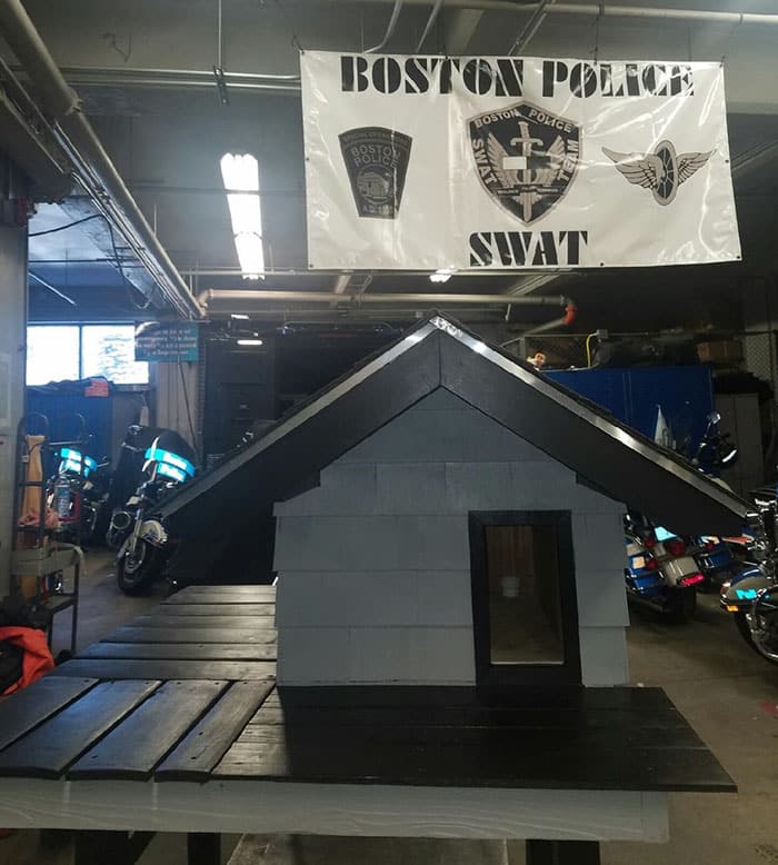 Дом для кота SWAT (Бостон)