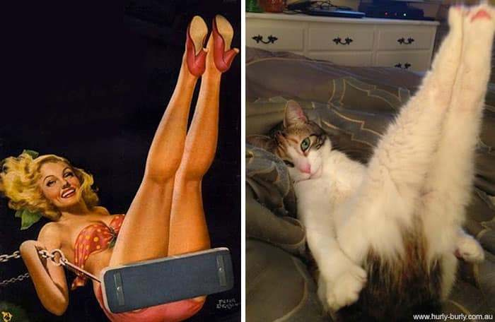 Кошка и фотомодель ноги в воздухе