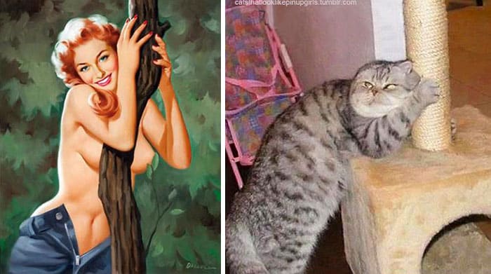 Кошка и фотомодель около дерева