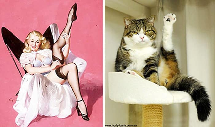 Кошка и фотомодель с поднятой ногой