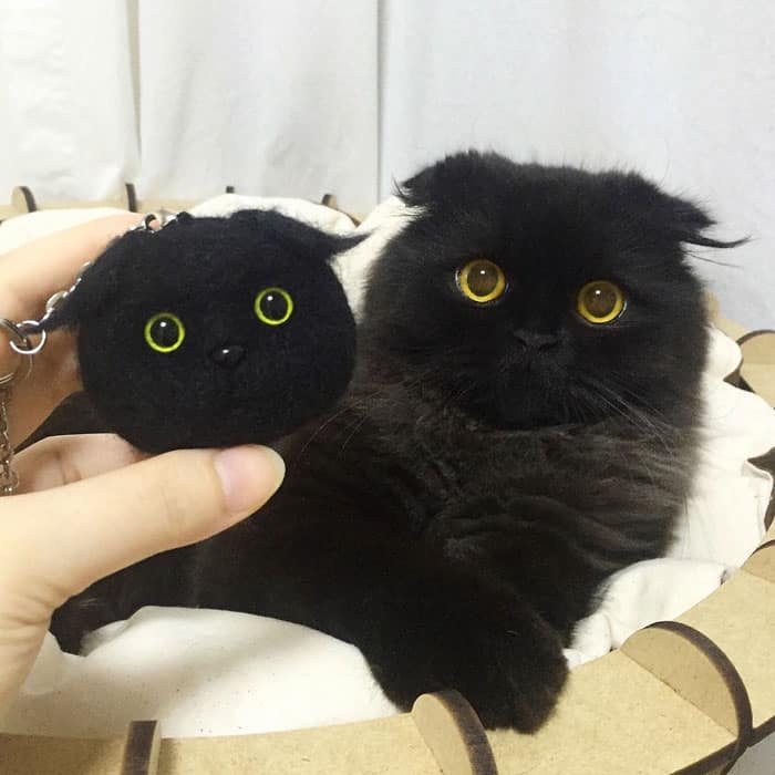 игрушекая голова кошки похожа на этого кота
