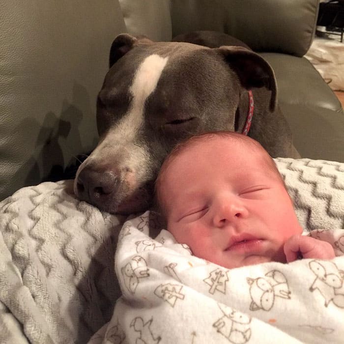 Младенец и собака спят