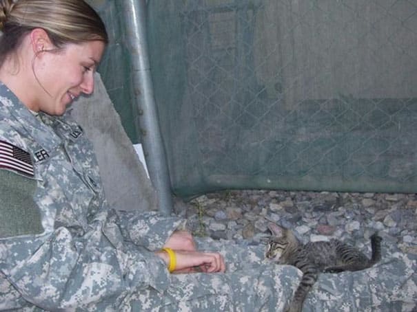 солдат и кошка