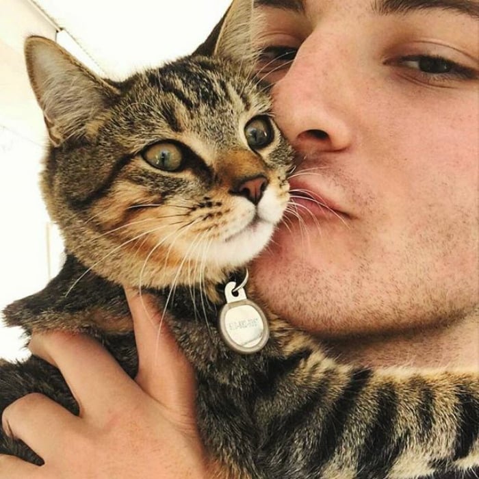 парень целует полосатую кошку в ошейнике с этикеткой
