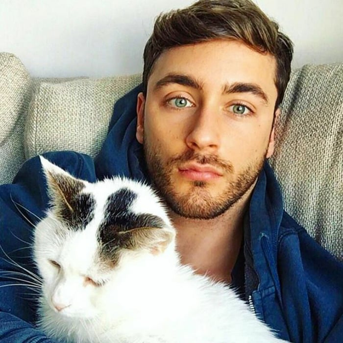 белый кот с серыми ушами спит на груди у парня в синей джинсовке