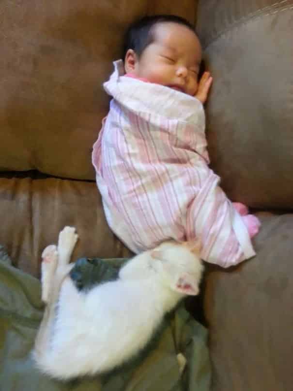 Мледенец и котенок спят рядом