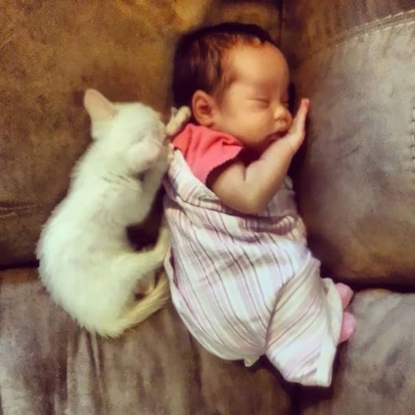 Младенец и кошка спят вместе