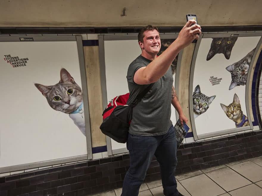 портреты кошек в метро