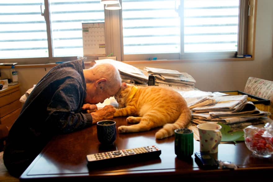 Кот и дедушка Джиджи - любовь