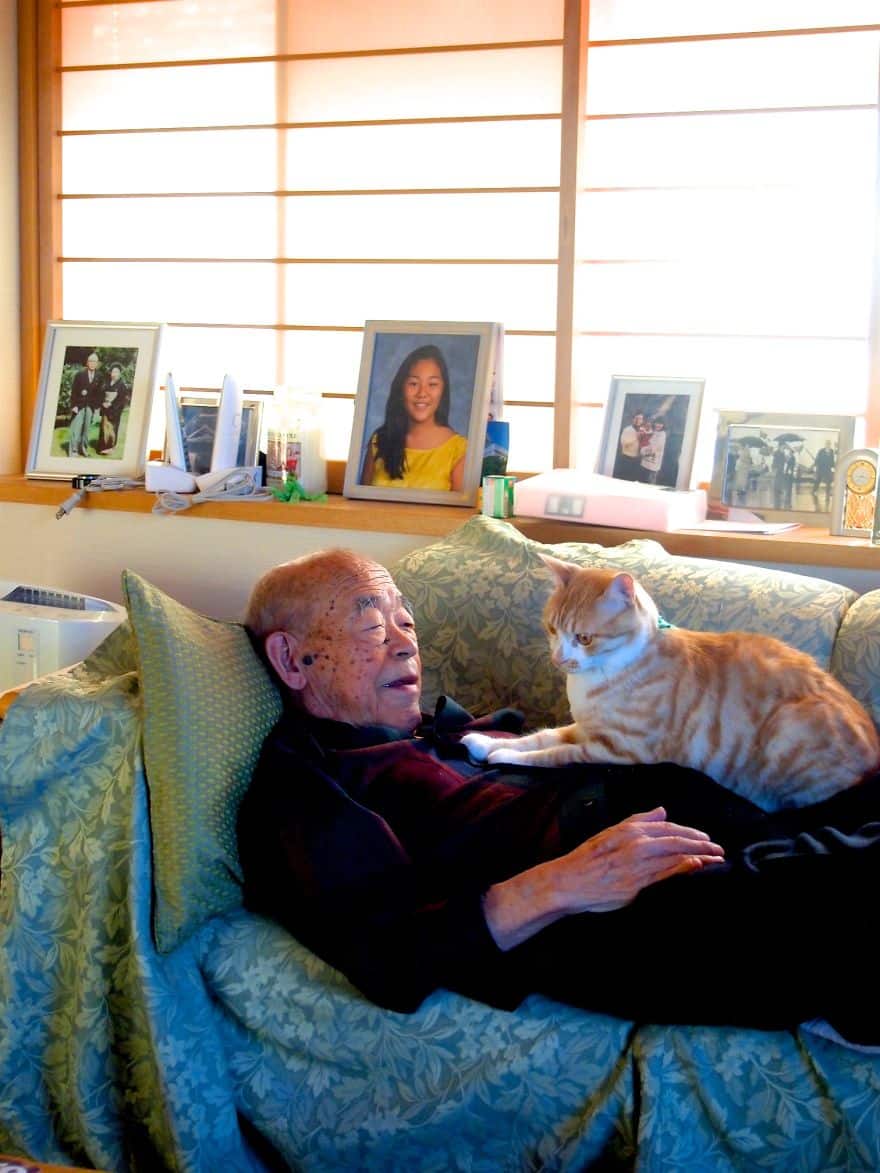 Кот и дедушка Джиджи