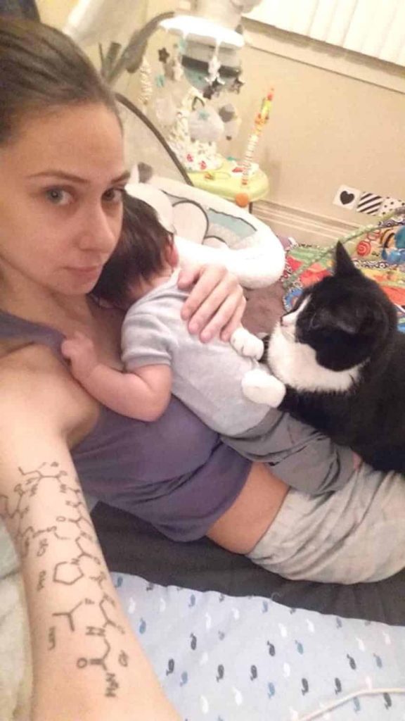 Кот и новорождённый