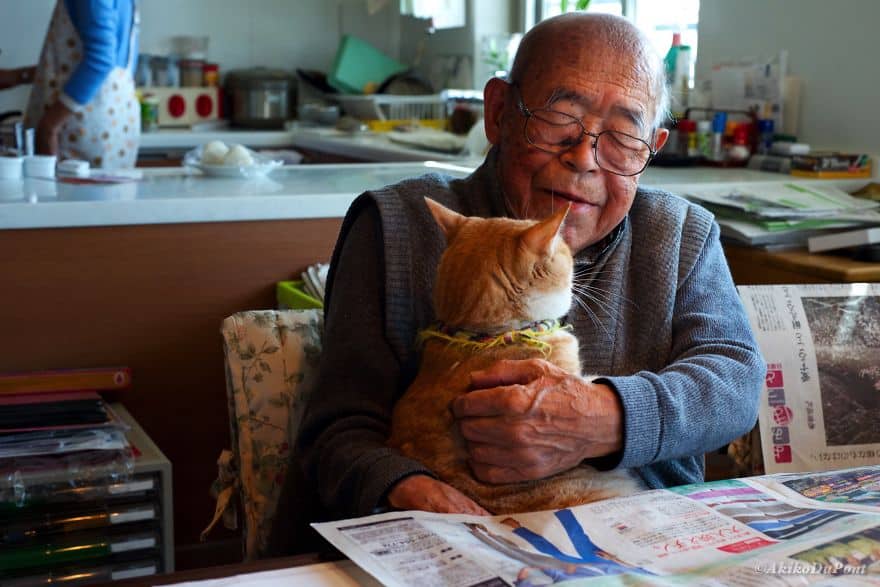 Кот и дедушка Джиджи обнимаются