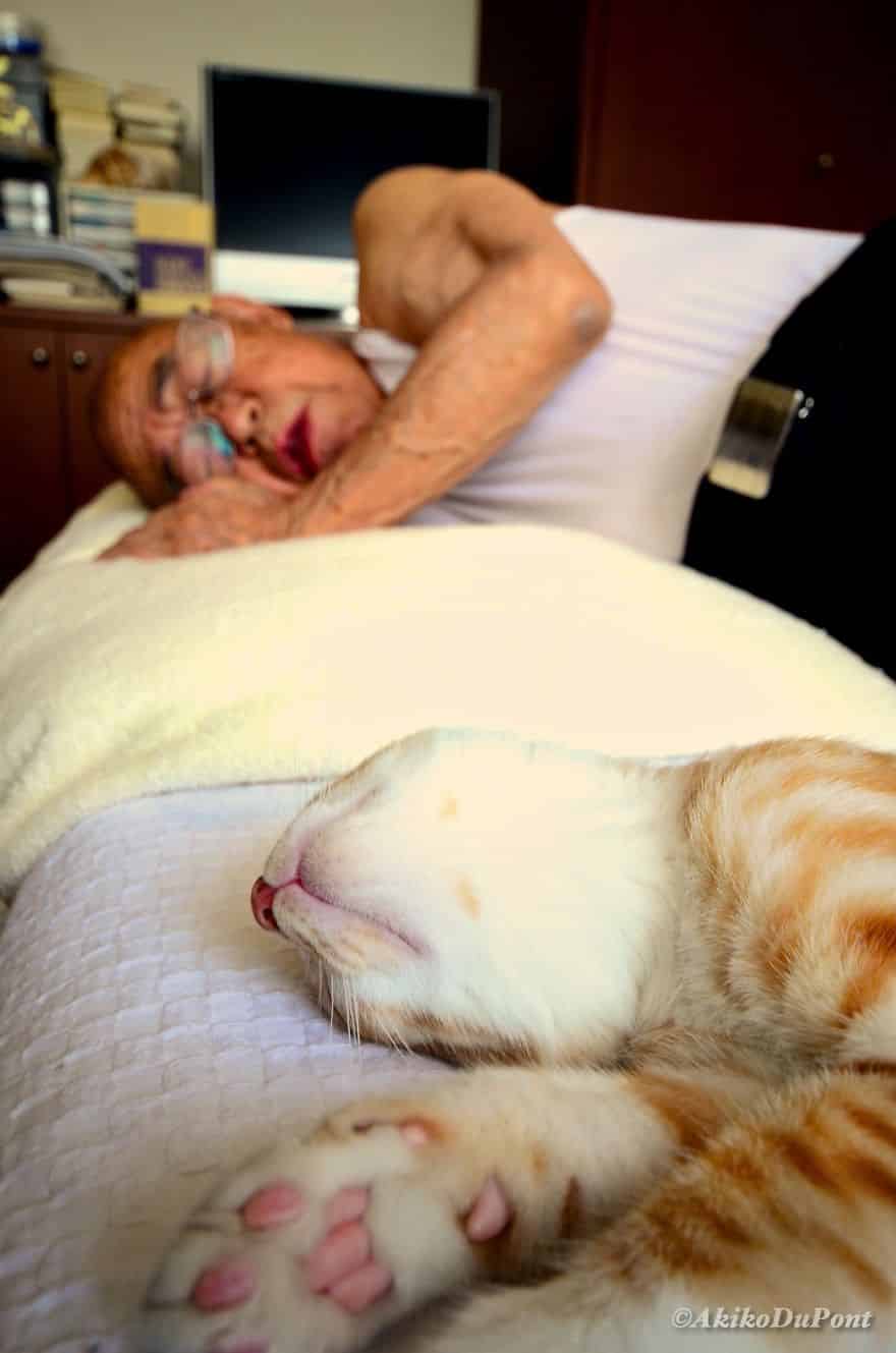 Кот и дедушка Джиджи - дневной сон